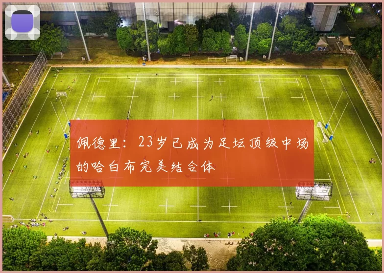 佩德里：23岁已成为足坛顶级中场的哈白布完美结合体