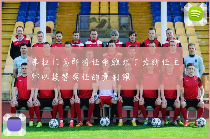 弗拉门戈即将任命雅尔丁为新任主帅以接替离任的费利佩