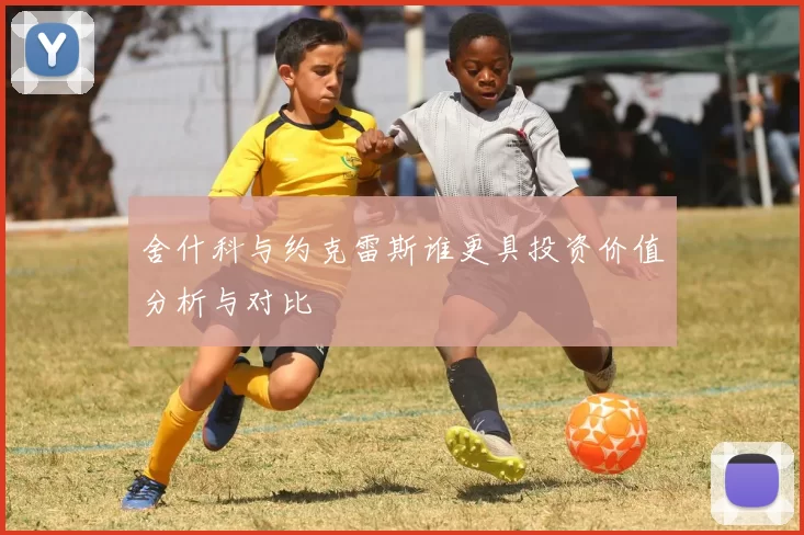 舍什科与约克雷斯谁更具投资价值分析与对比