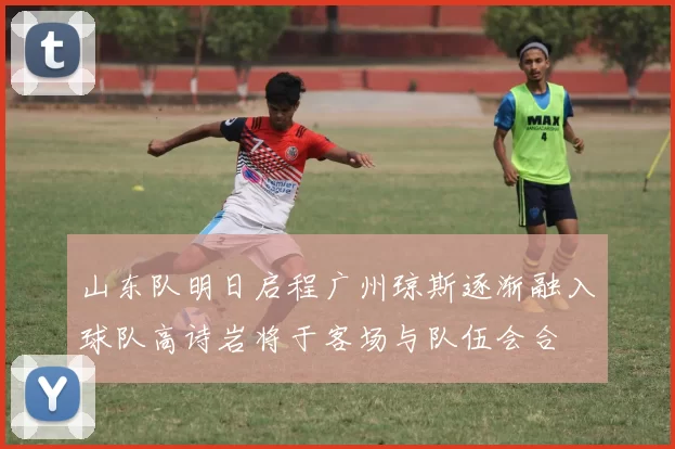 山东队明日启程广州琼斯逐渐融入球队高诗岩将于客场与队伍会合